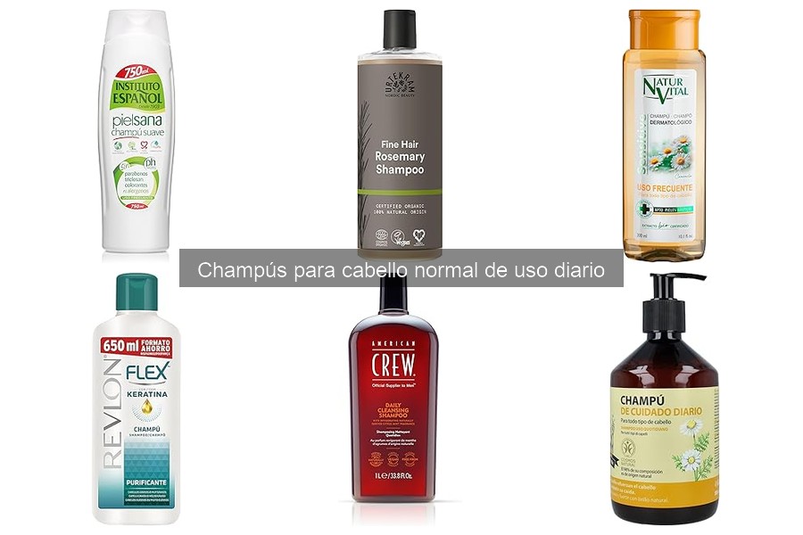 Alternativas a champús convencionales para cabello normal