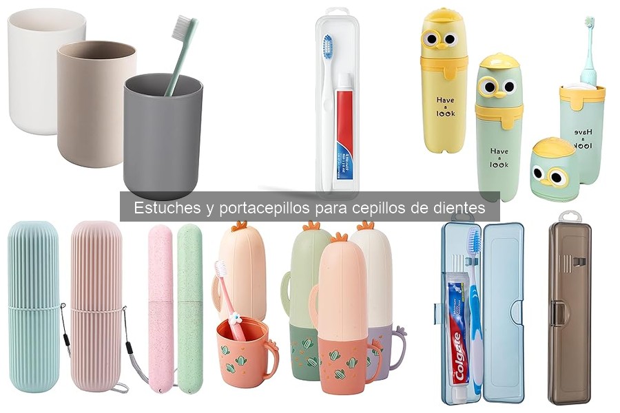 Alternativas a Estuches y Portacepillos para Dientes