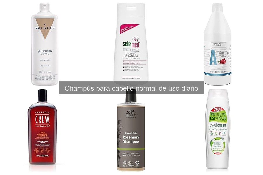 Champús naturales para cabello normal: guía de compra