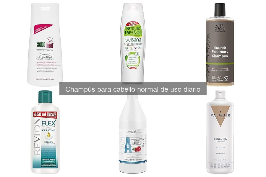 Comparativa: Champús para cabello normal vs. cabello graso