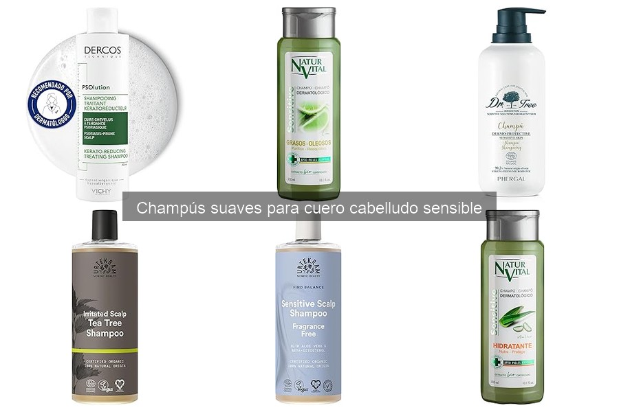 Comparativa: Champús Suaves vs. Tradicionales para Sensibles