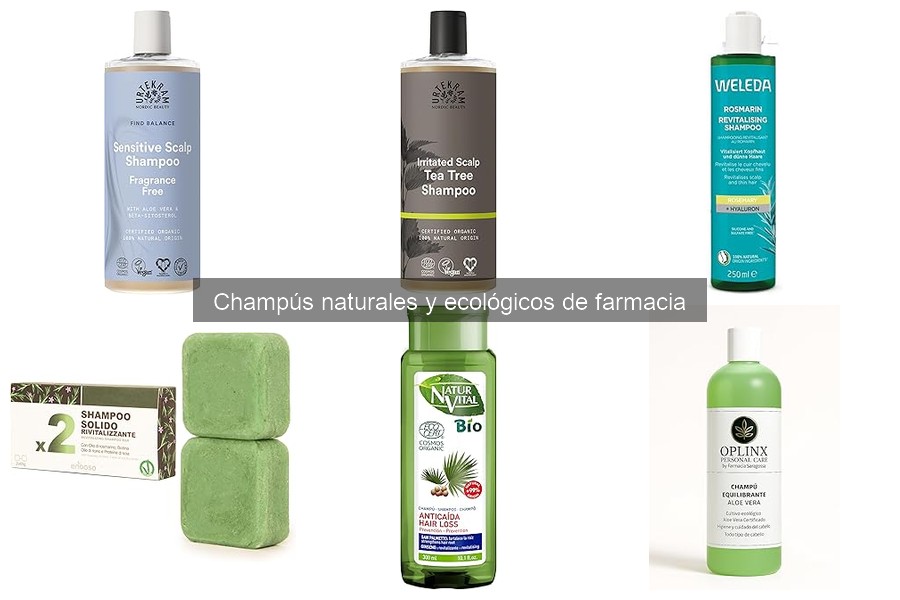 Dónde comprar champús naturales: mejores ofertas y precios