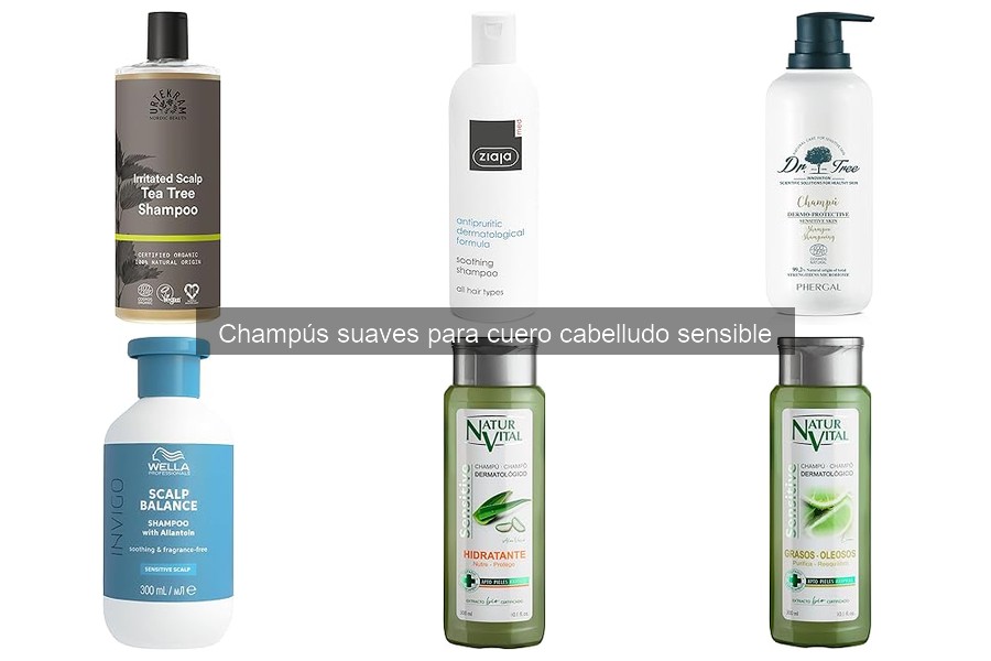 Dónde comprar champús suaves para cuero cabelludo sensible