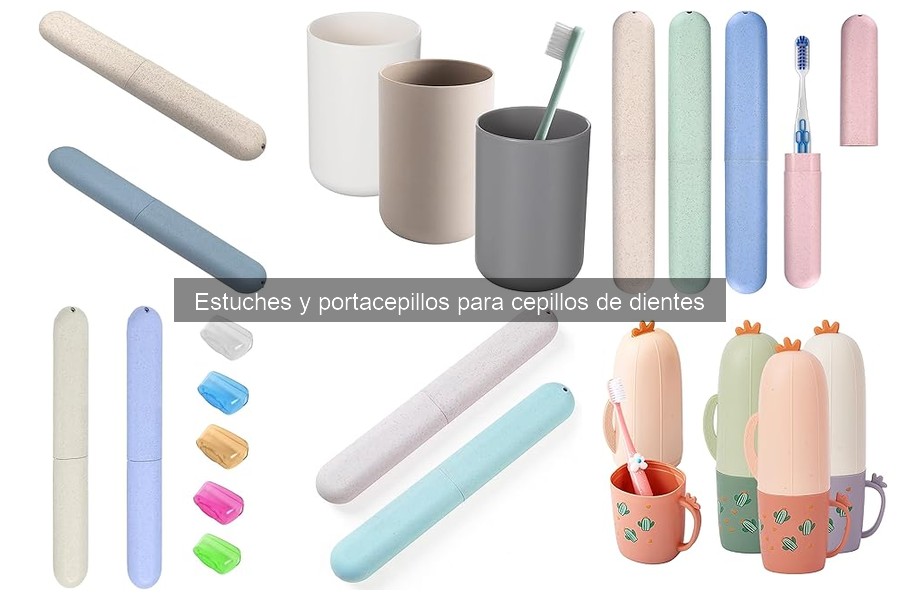 Estuches y Portacepillos para Cepillos de Dientes: ¿Qué Son?
