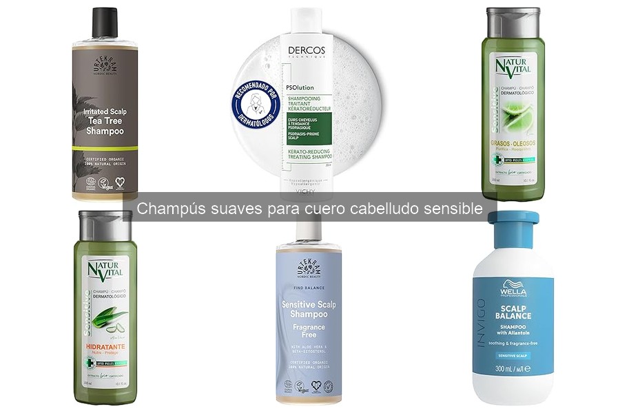 Guía de champús suaves para cuero cabelludo sensible