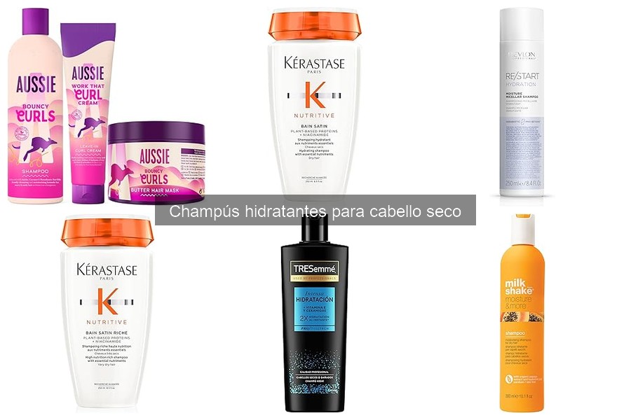 Guía para elegir champús hidratantes para cabello seco