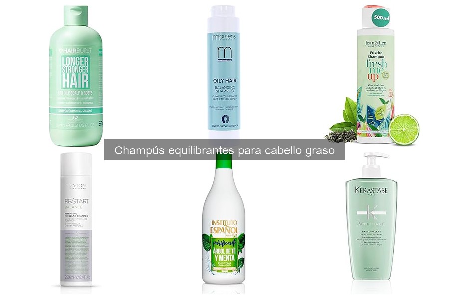 Ingredientes Activos de Champús Equilibrantes para Cabello Graso