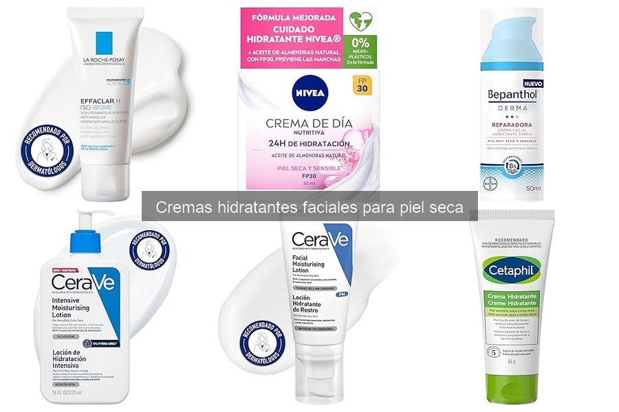 Ingredientes Clave en Cremas Hidratantes para Piel Seca
