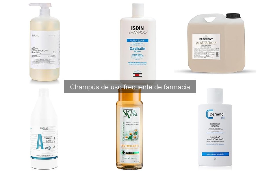 Mejores champús de uso frecuente para cabello seco