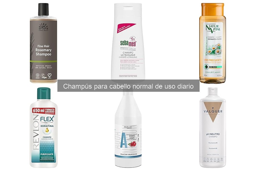Mejores champús para cabello normal en 2023: comparativa