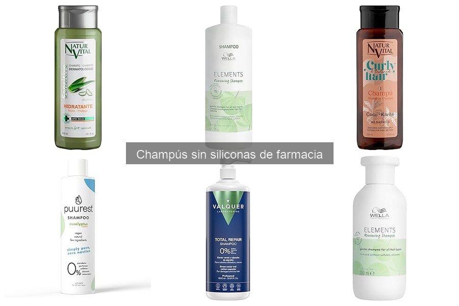 Mejores champús sin siliconas para cabello seco