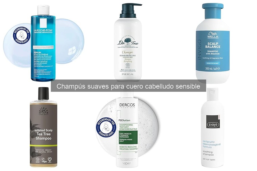 Mejores champús suaves para cuero cabelludo sensible