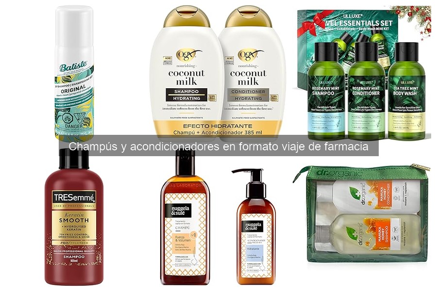 Mejores champús y acondicionadores de viaje para cabello seco