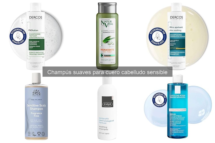 Opiniones sobre champús suaves para cuero cabelludo sensible