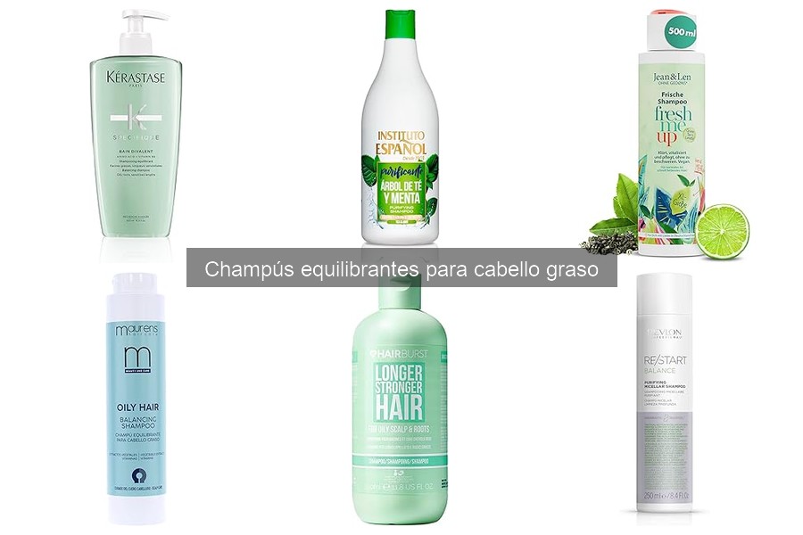 ¿Qué es un champú equilibrante para cabello graso?